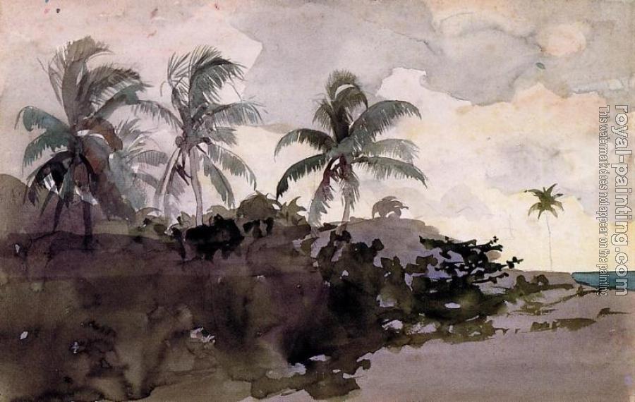 Winslow Homer : Coconut Palms Winslow Homer : Coconut Palms
